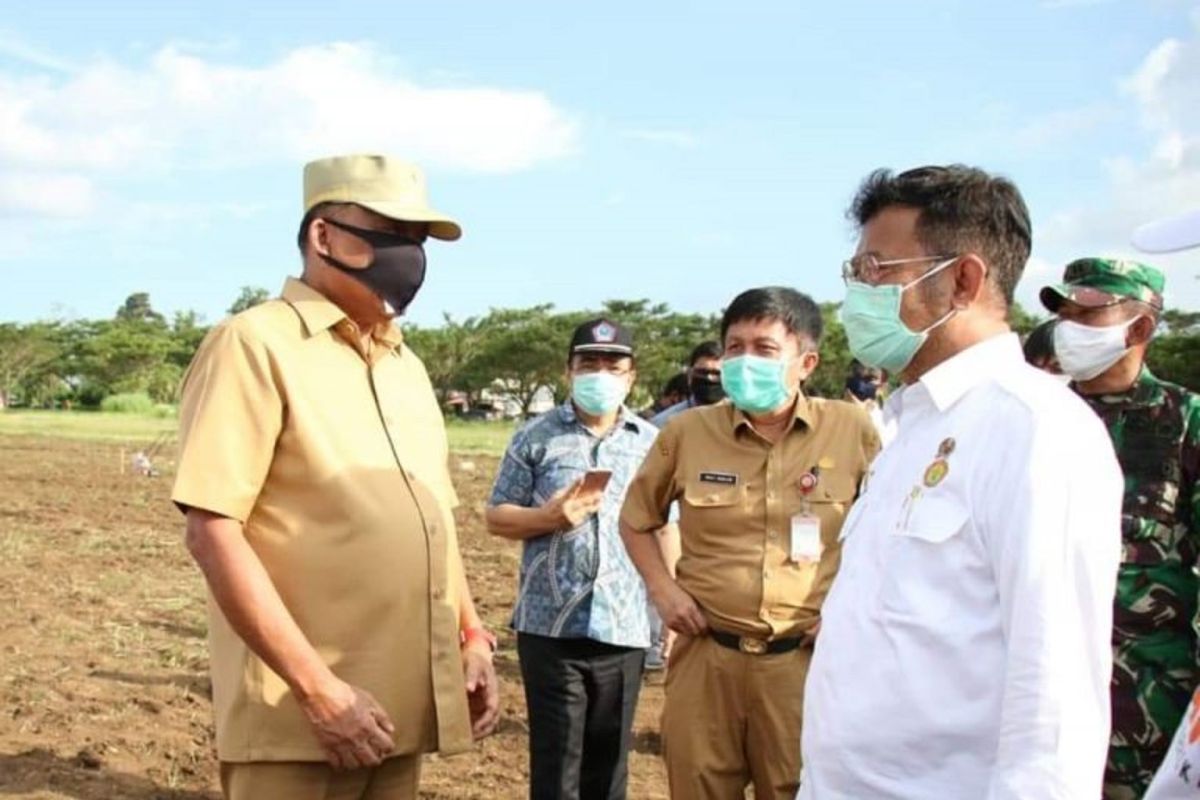 Mentan ingatkan pentingnya keamanan pangan saat pandemi COVID-19