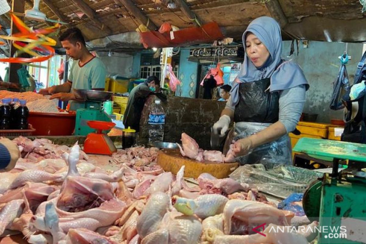 Harga ayam potong anjlok jelang Ramadhan di Palembang, pembeli tetap sepi