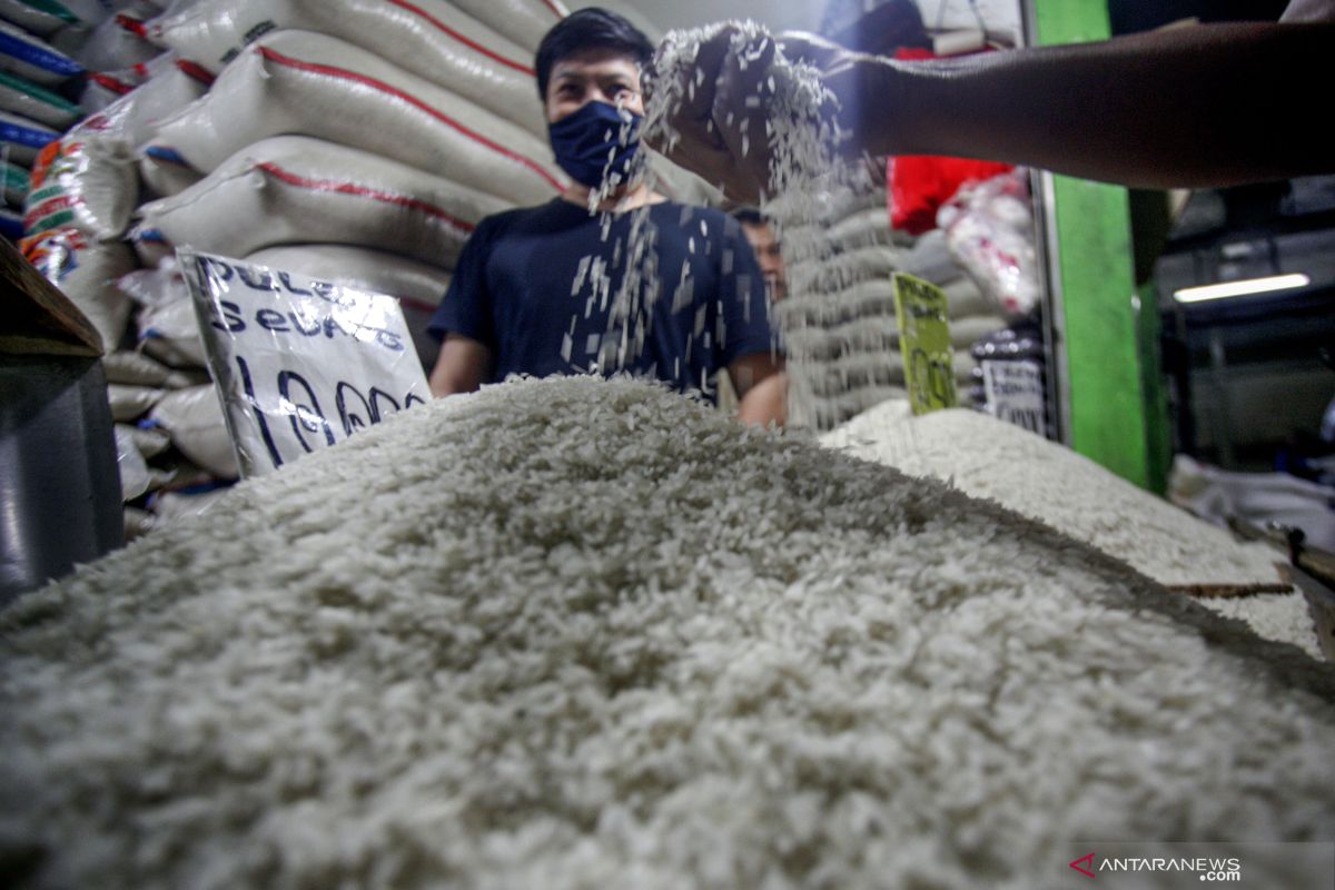 Kepala CIPS: Pemerintah perlu evaluasi kebijakan harga beras