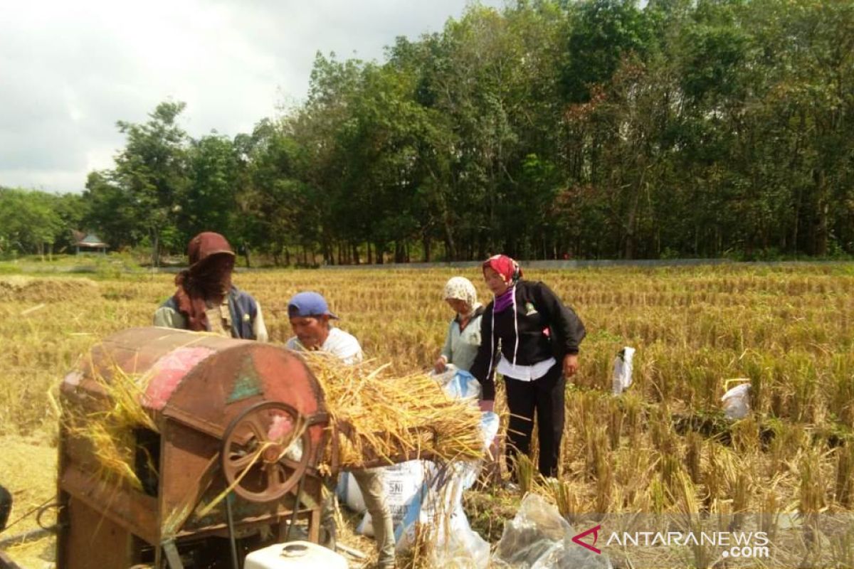 Mentan Syahrul Yasin minta petani muda manfaatkan KUR kembangkan pertanian modern