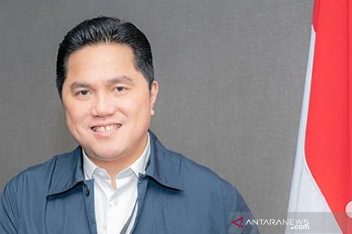 Erick Thohir berharap Indonesia bisa lewati pandemi COVID-19 dengan baik