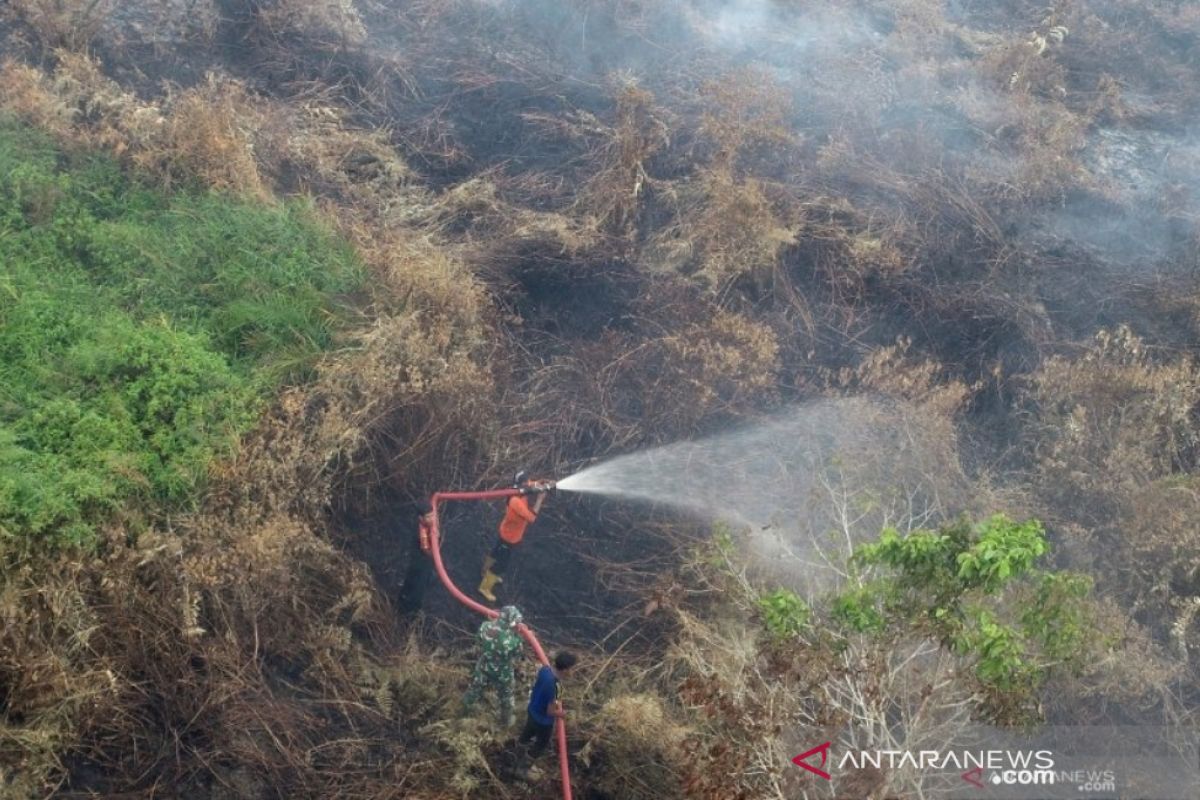 KLHK: PIPPIB untuk perbaikan tata kelola hutan dan lahan gambut