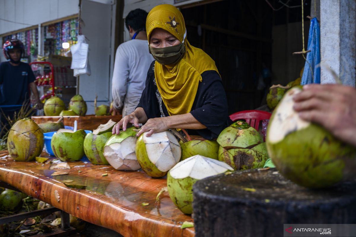 Air kelapa baik untuk tubuh asal dikonsumsi tidak berlebihan