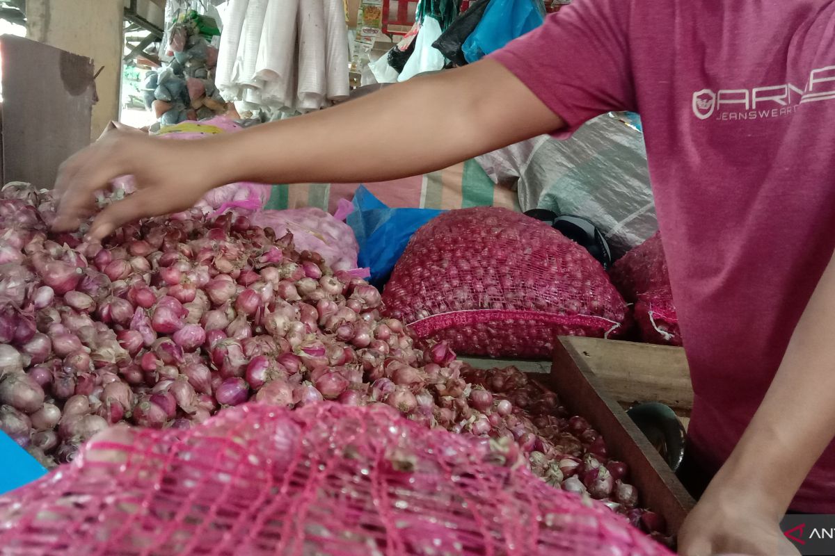 Harga bawang merah lokal di Banda Aceh naik jadi Rp45 ribu/kg
