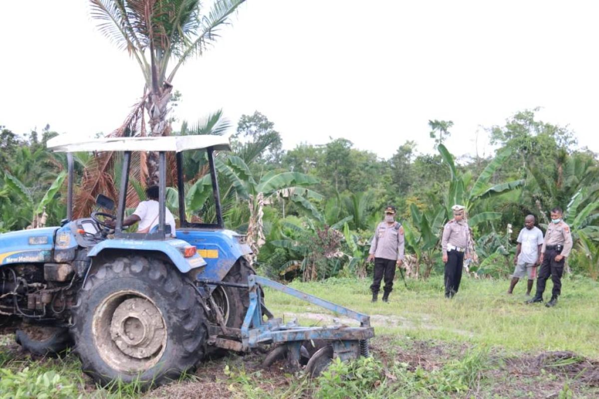 Aparat Polres Mappi dampingi warga olah lahan pertanian dua hektare