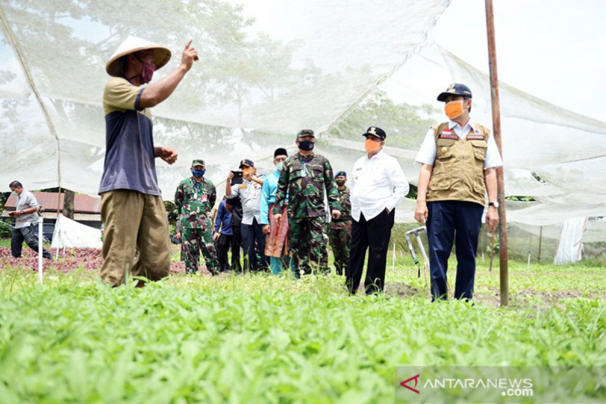 Kelompok tani terdampak COVID-19 di Riau dapat bantuan sembako