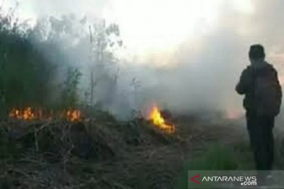 Presiden  ingatkan 4 langkah antisipasi kebakaran hutan  dan lahan