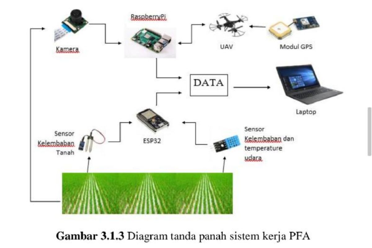 Mahasiswa UI rancang "software" untuk dongkrak produktivitas pertanian