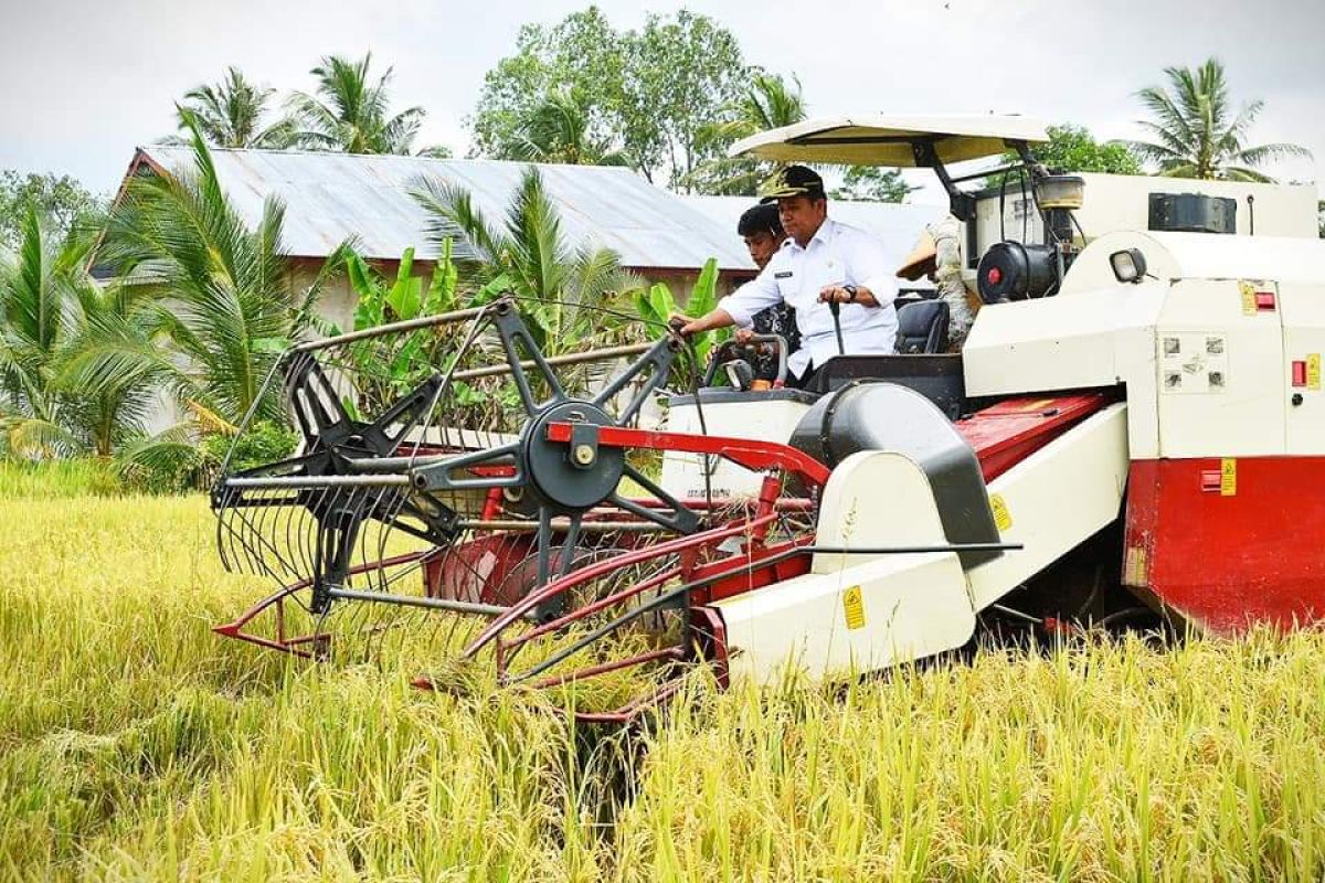 Bupati Askolani bersyukur, di tengah pandemi daerahnya masih surplus beras