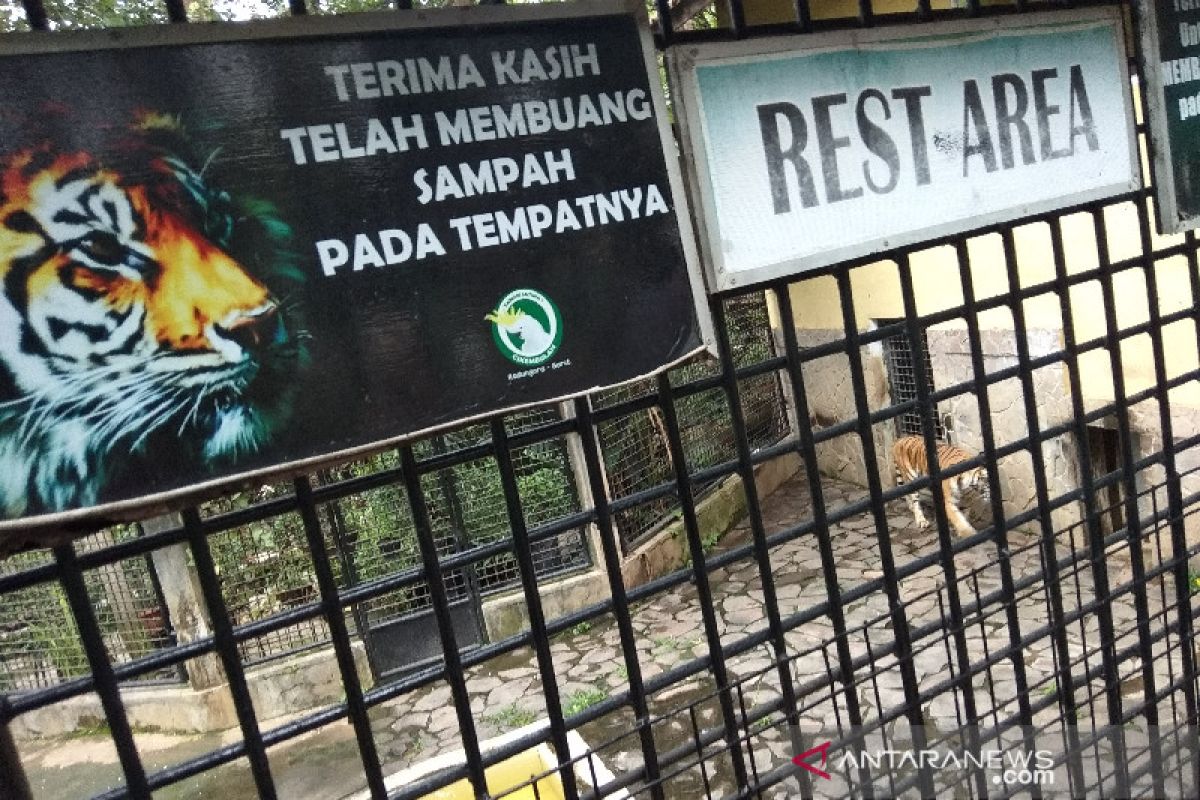 Taman Satwa Cikembulan di Kabupaten Garut kesulitan dana biayai pakan hewan