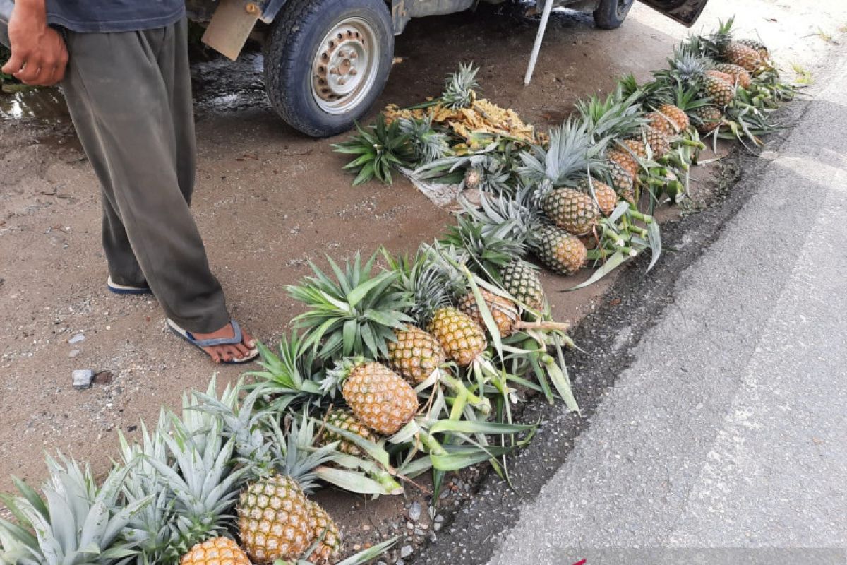 Stok kurang, picu kenaikan harga buah lokal di Kendari