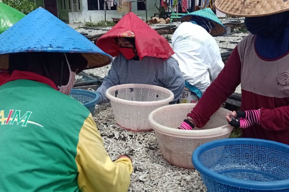 Perajin di Pulau Pasaran masih produksi teri asin