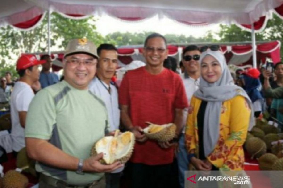 Mantan Menteri BUMN terkesan dan dukung Babel kembangkan durian ekspor