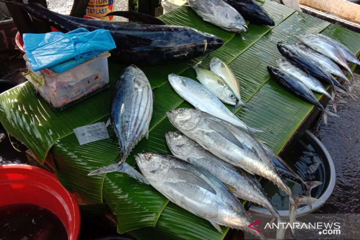 Ikan segar di pasar Ambon mulai langka