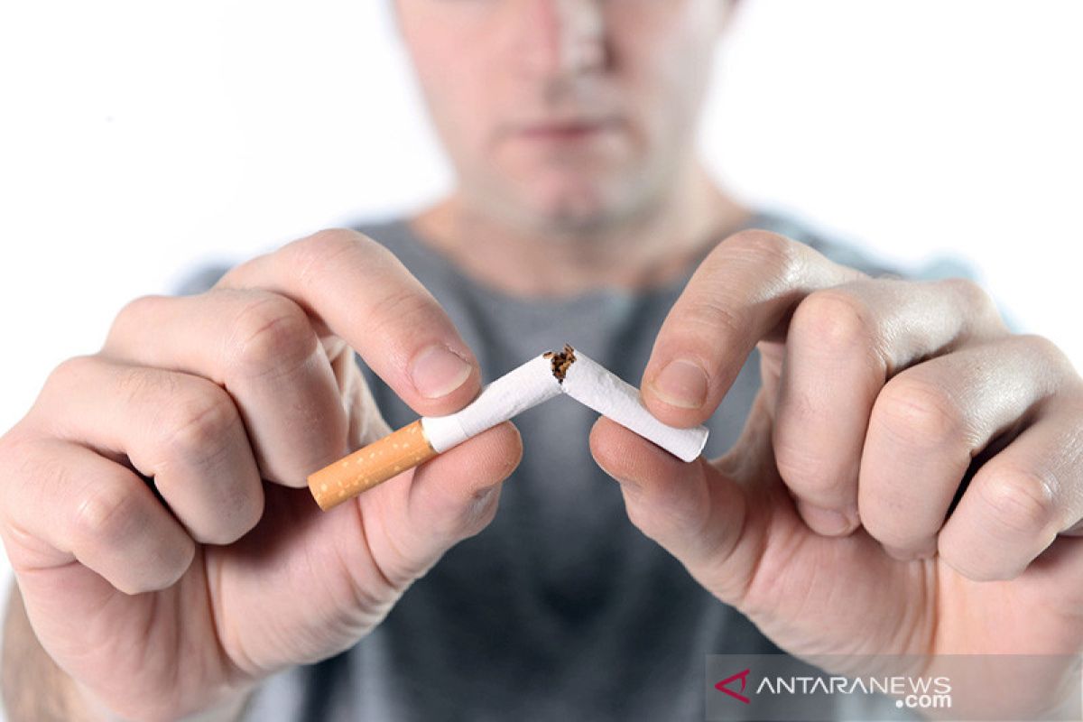 Terpapar asap rokok turunkan imunitas tubuh lawan COVID-19