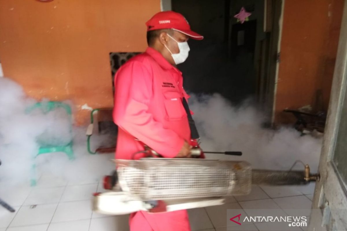 40 orang di Pekalongan terjangkit demam berdarah dengue