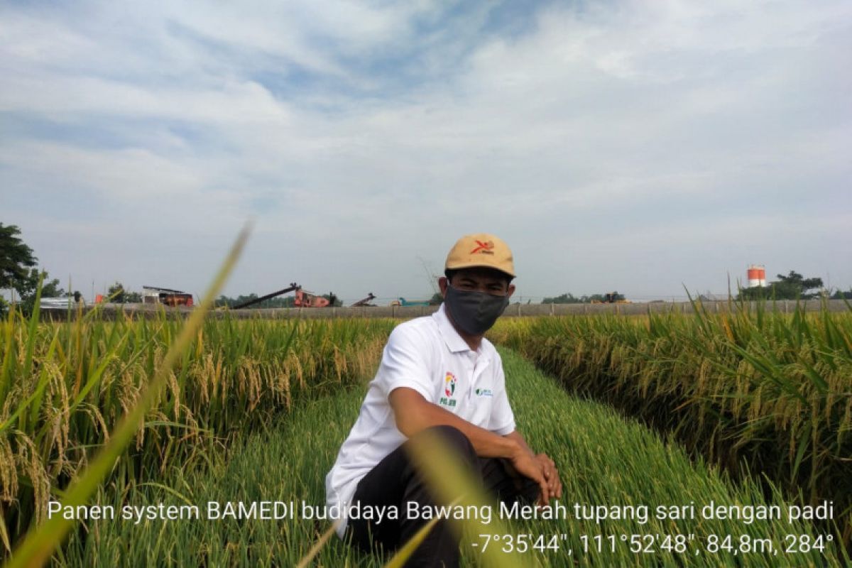 Kementan: Petani dituntut terus berinovasi majukan usaha pertanian