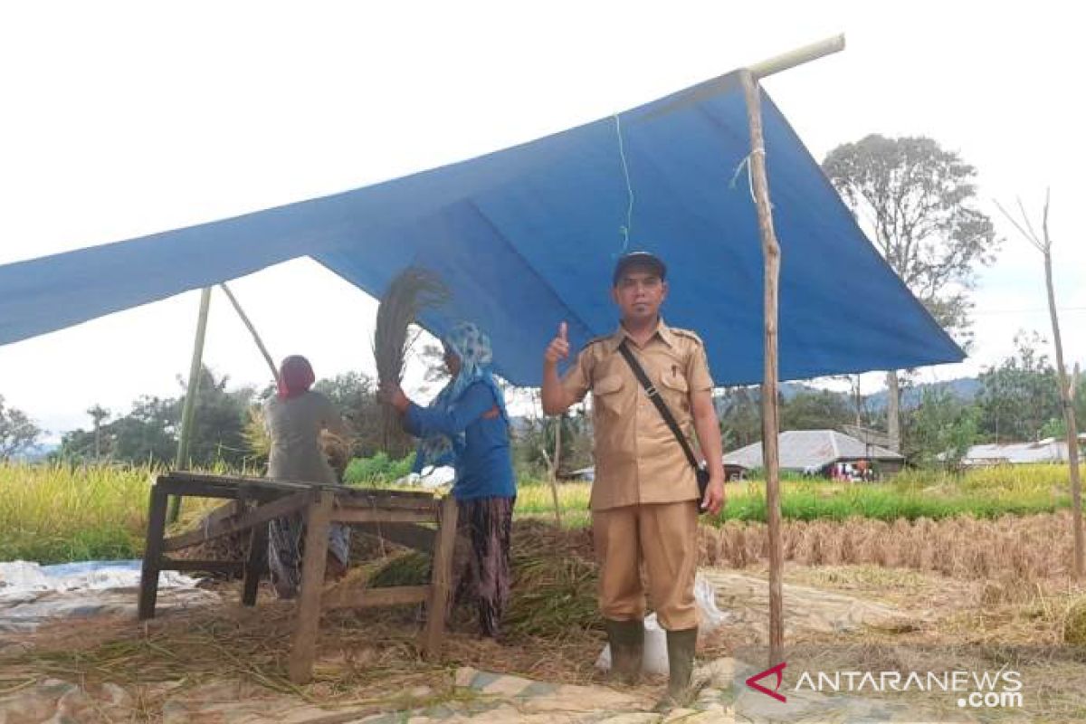 Koptan Taruna Tani topang ketersediaan stok beras Sumut di tengah COVID-19