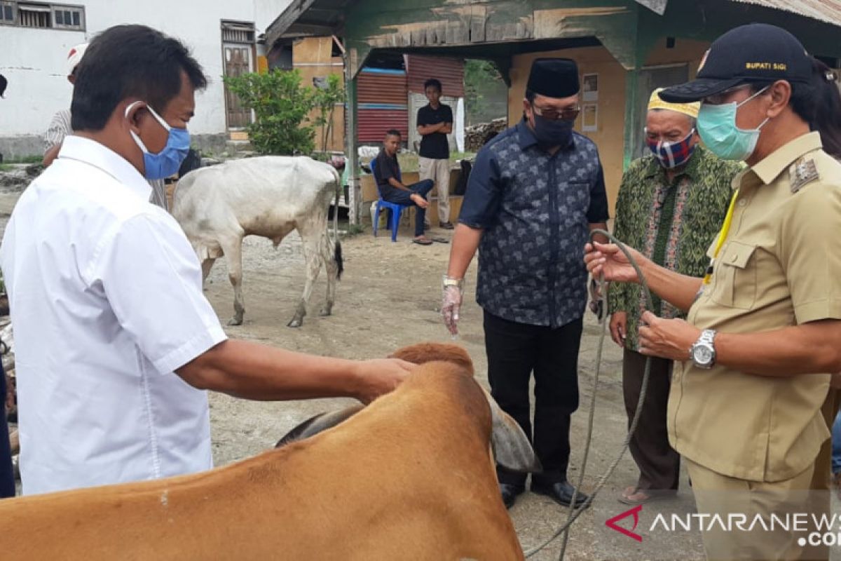 Pemkab Sigi upayakan keberlanjutan kegiatan peternakan warga