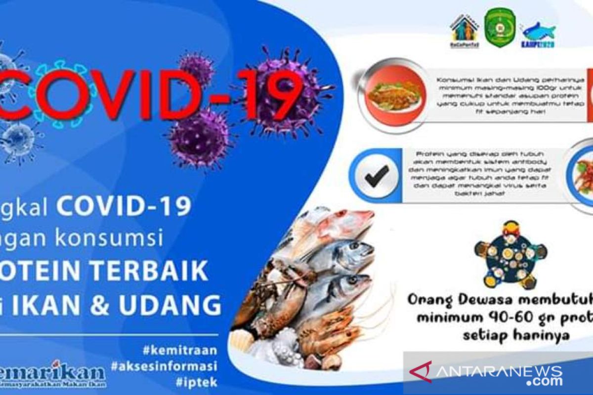 DKP Kukar sosialisasikan gemar makan Ikan cegah COVID-19