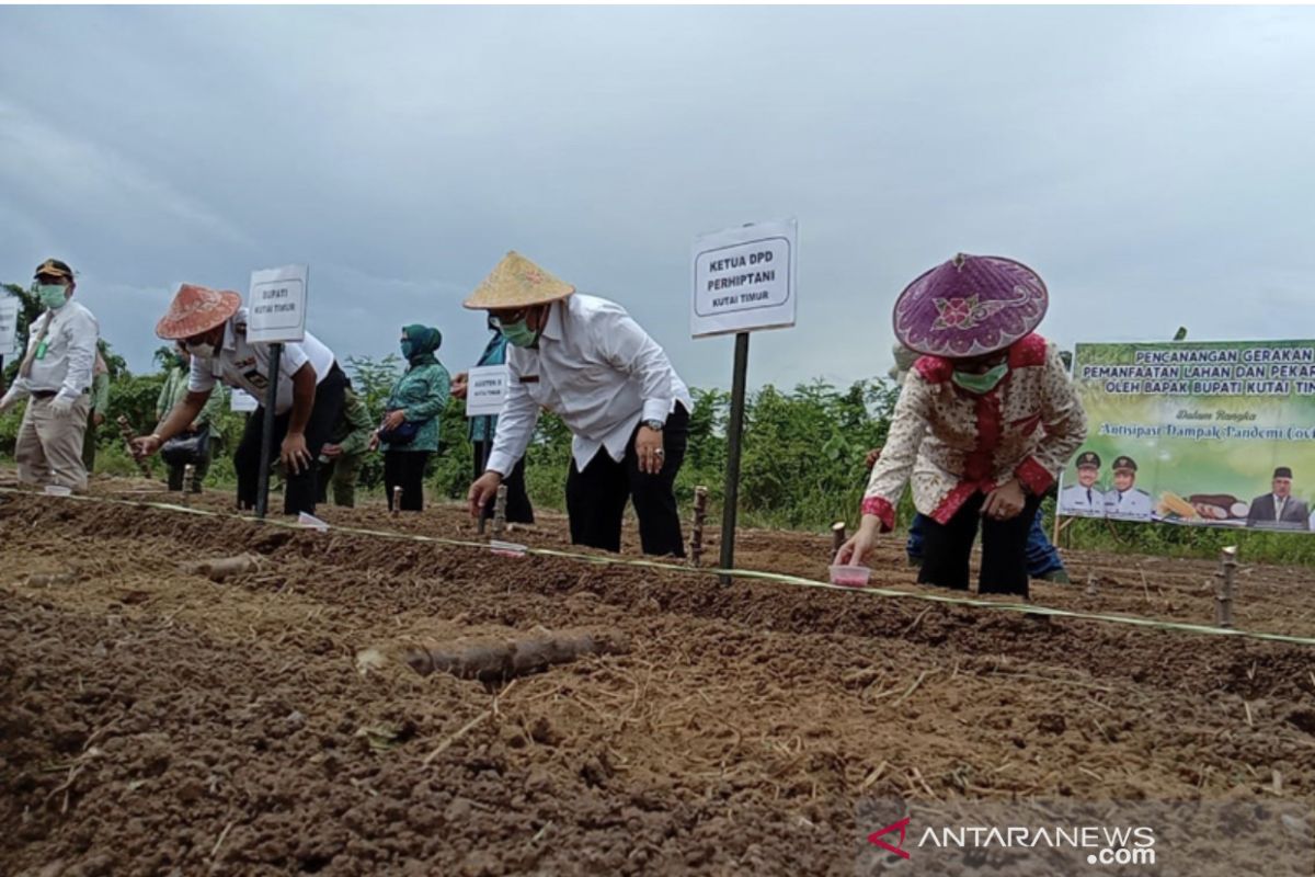 Kutim canangkan program pemanfaatan lahan dan pekarangan