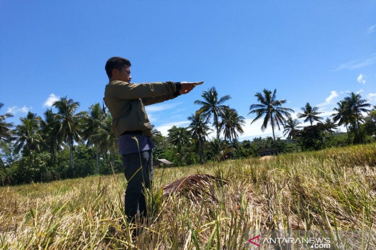 BPS melakukan KSA guna mengukur cadangan pangan di Buton Utara