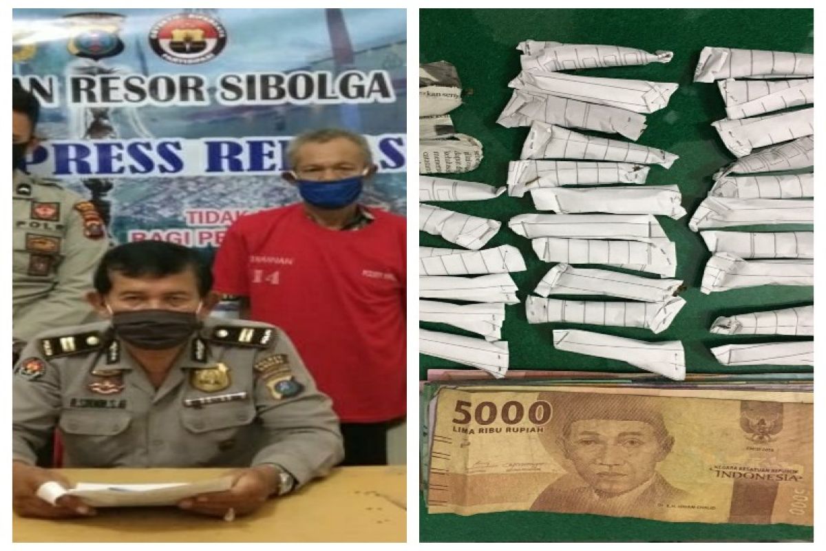 Polisi Sibolga amankan 31 bungkus ganja kering  bersama pengedarnya