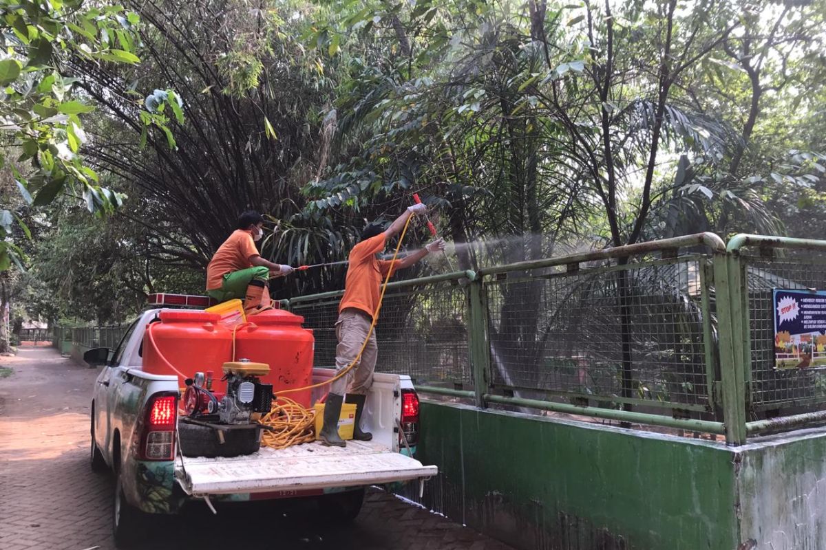 Ragunan pastikan kebutuhan pakan satwa terpenuhi selama pandemi