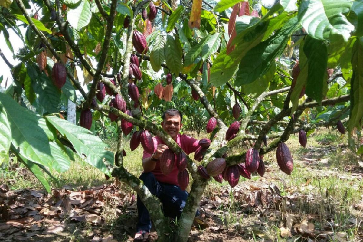 Legislator nilai perlu perubahan strategi pembangunan kebun benih