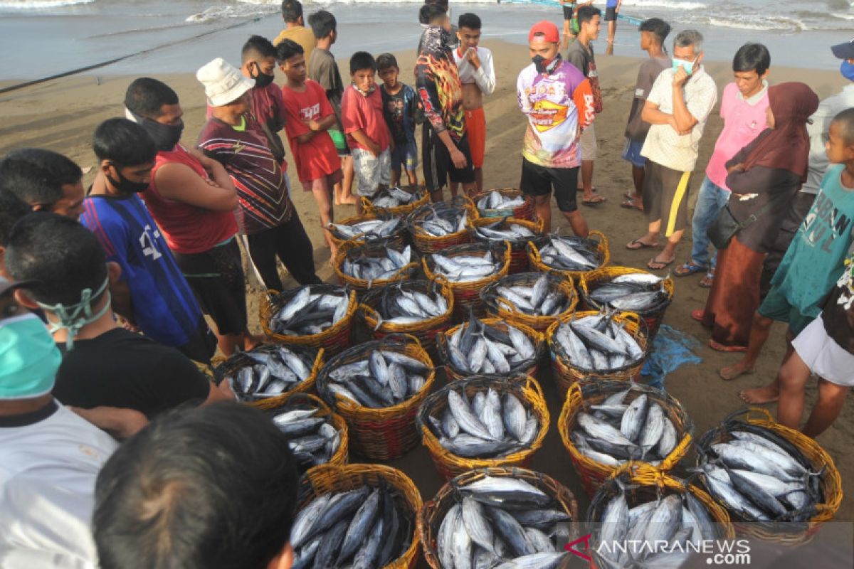 Kemenko Maritim sebut lima masalah utama perikanan akibat wabah COVID-19