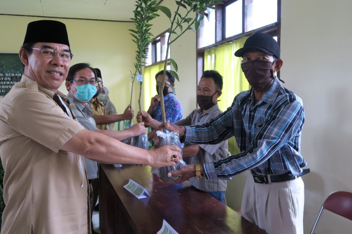 Balitbangtan dukung pengembangan jeruk RGL di Rejang Lebong