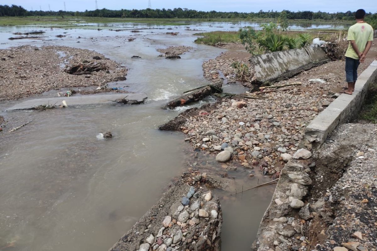 Tiga hektare lahan sawah tertimbun kerikil akibat tanggul jebol