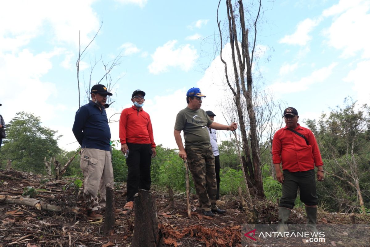 Lahan cadangan pangan di Rejang Lebong siap ditanami jagung