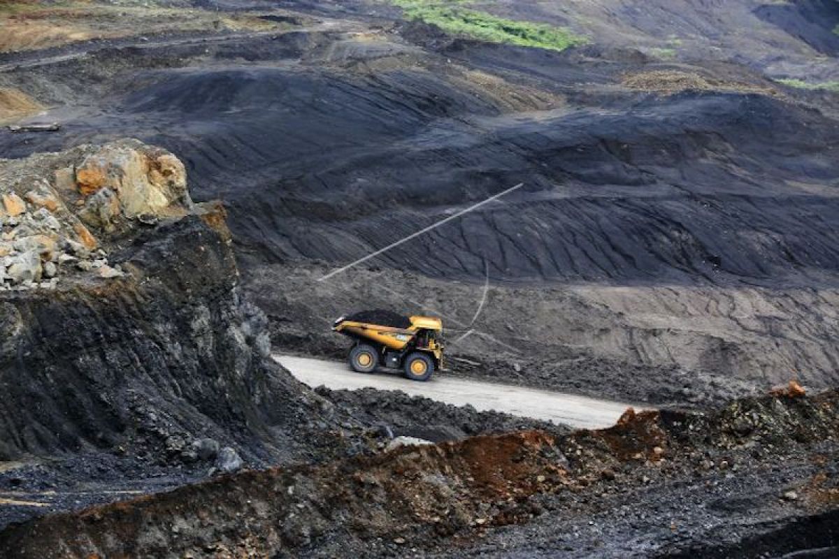 PT Bukit Asam laba Rp1 triliun di tengah pandemi COVID-19