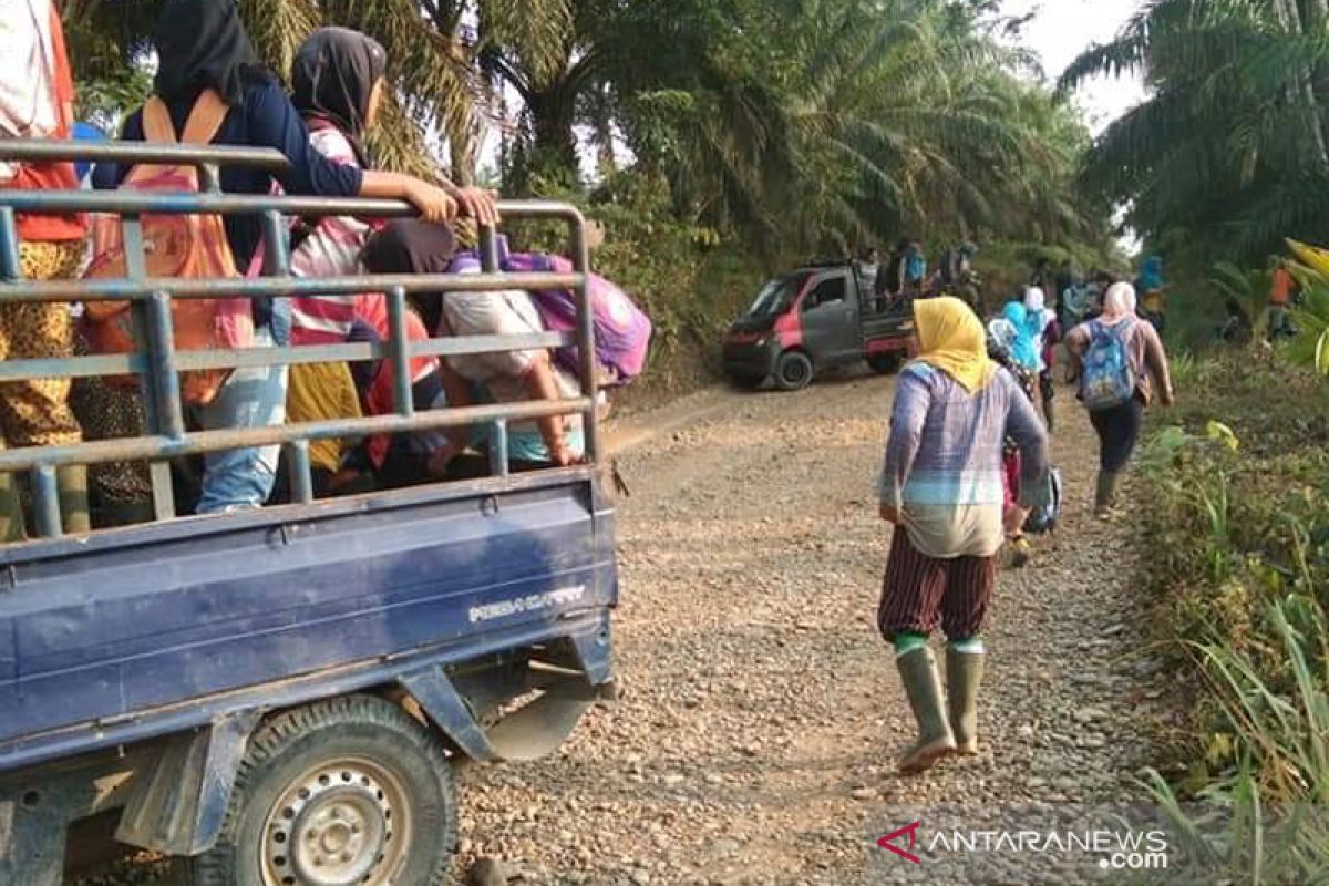 Buruh perkebunan sawit di Bengkulu kekurangan masker dan tuntut THR