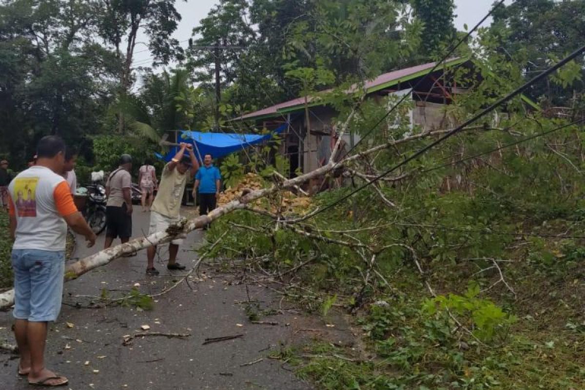 Sejumlah jaringan listrik di Nias tertimpa longsor dan pohon tumbang