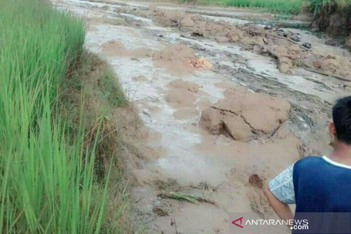 Longsor Jumat dini hari di Muara Enim rusak 10 Ha sawah, warga waspadai cuaca ekstrem