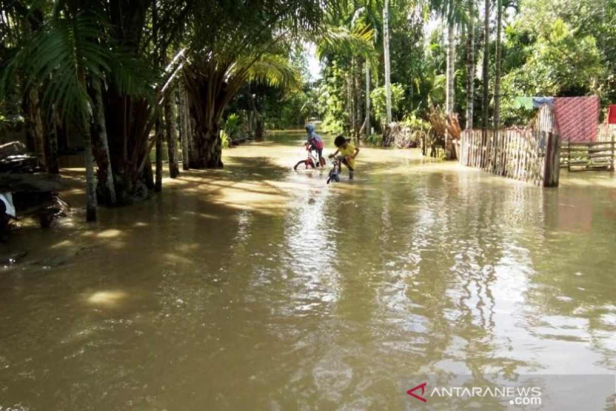 Floods swamp 11 villages in West Aceh District