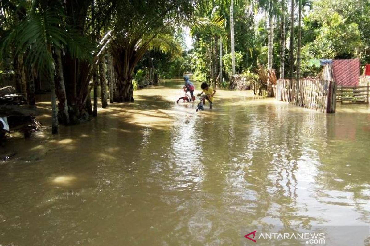 Banjir rendam 11 desa di Aceh Barat