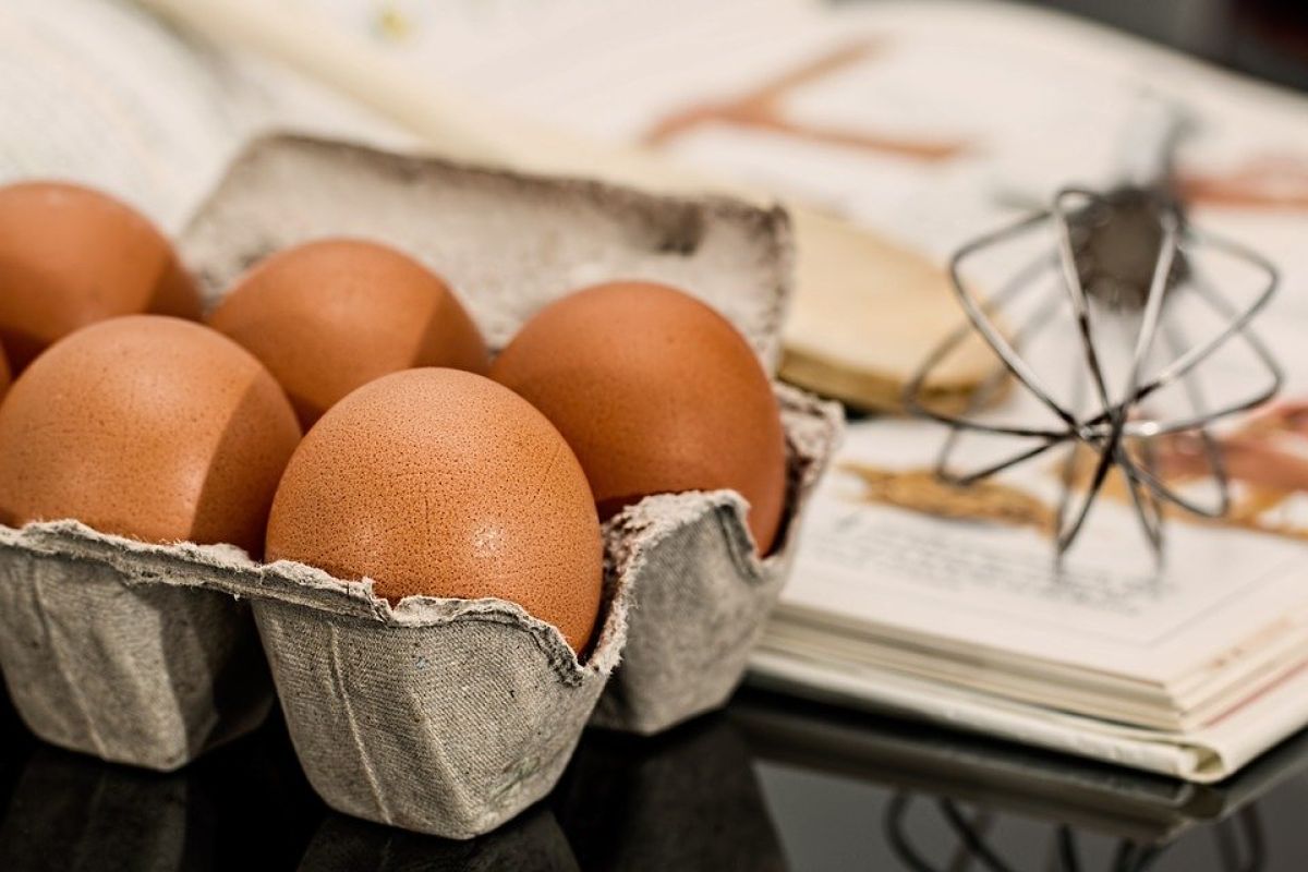 Ahli gizi ingatkan pintu kulkas bukan tempat terbaik simpan telur
