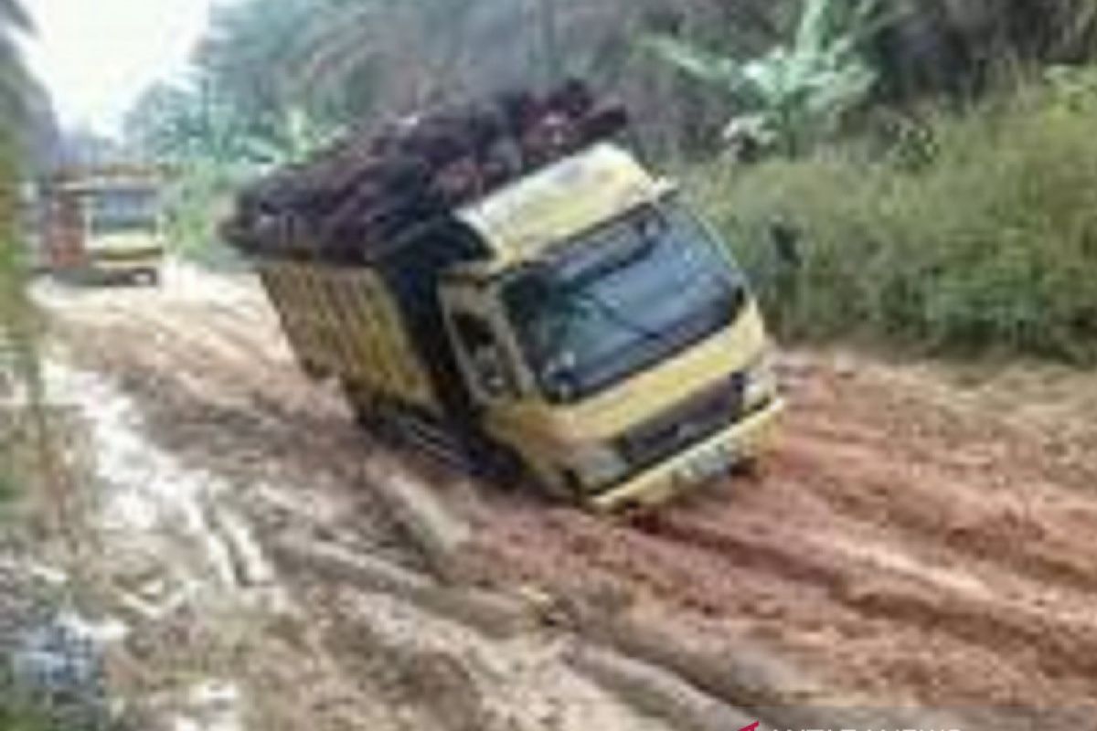 Banyak jalan rusak, Waka DPRD Inhu minta perusahaan punya jalan operasional sendiri