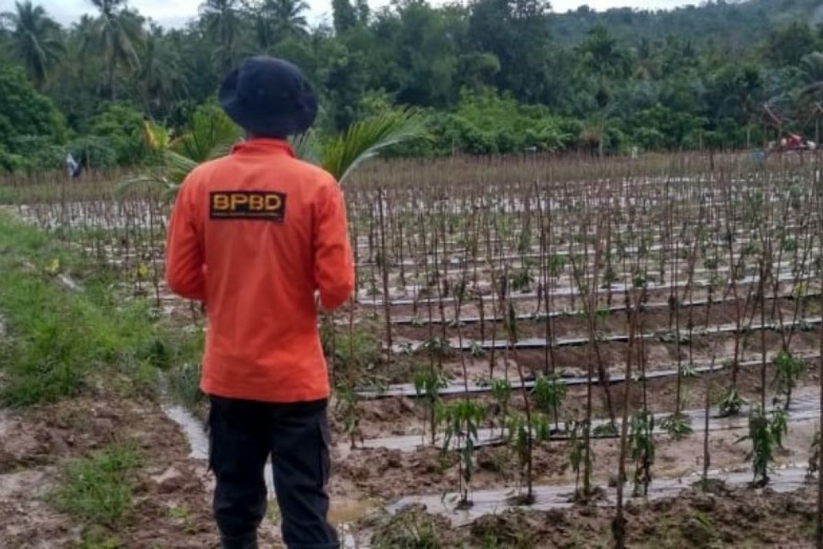 Banjir rendam enam desa di Bireuen