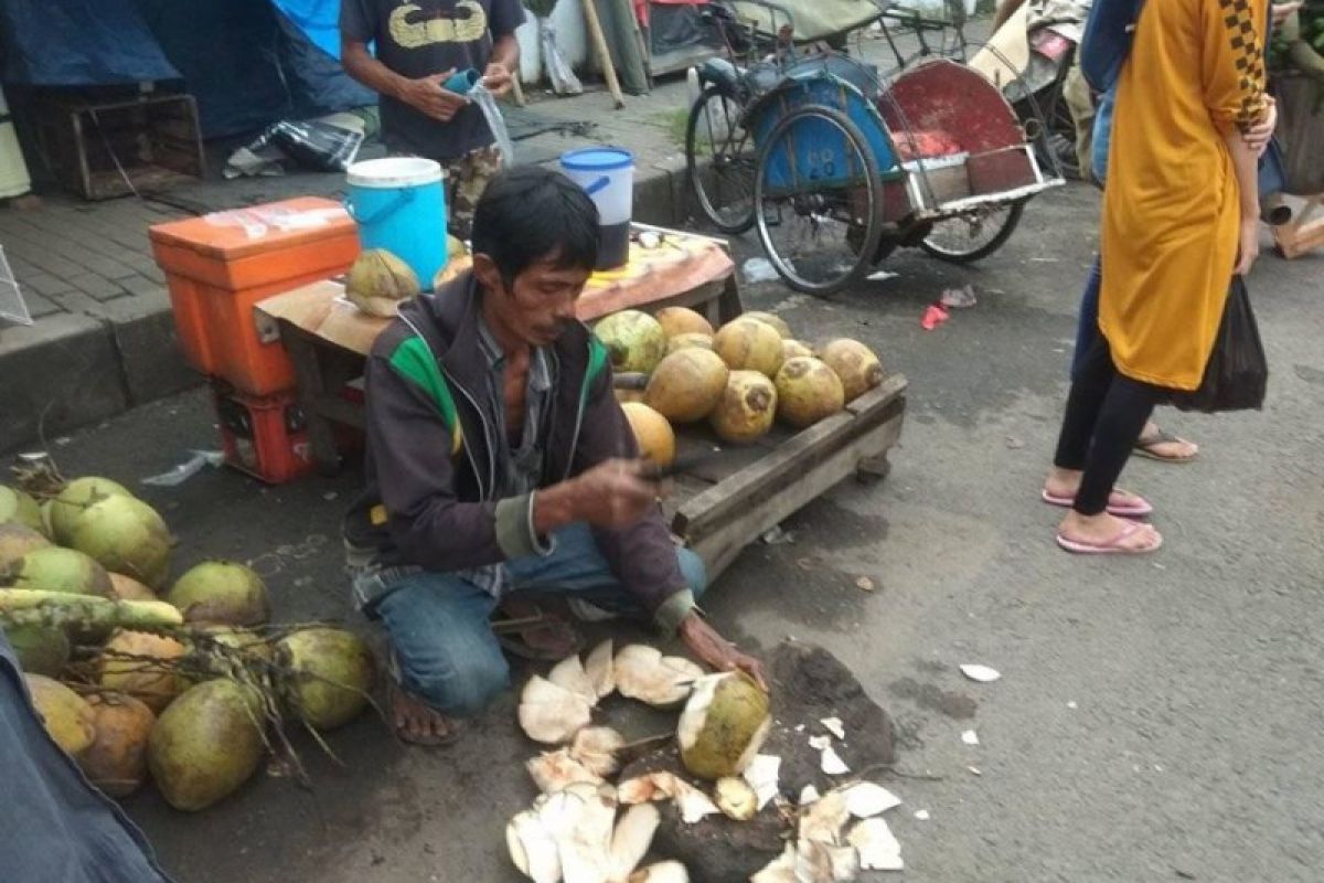 Pedagang datangkan kelapa muda dari Lebak selatan karena permintaan meningkat