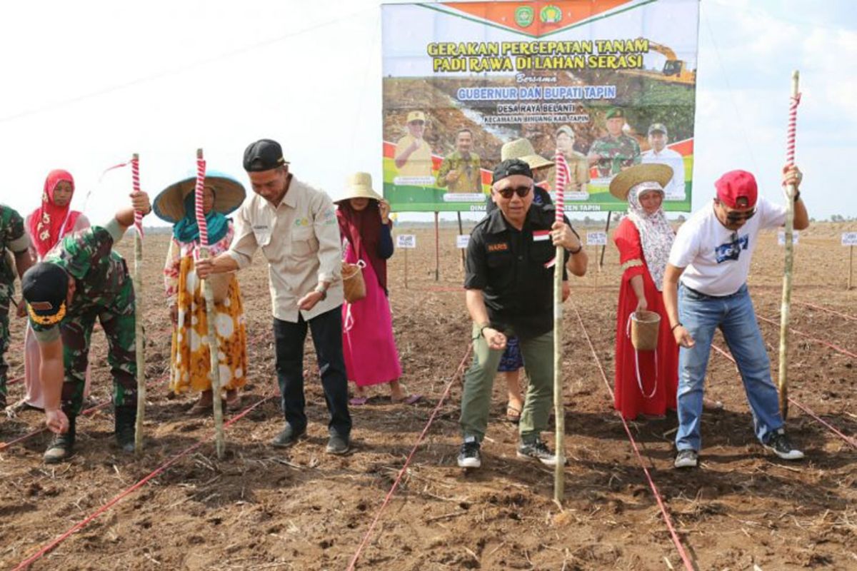 Kalsel kembangkan pertanian dan industri geser pertambangan