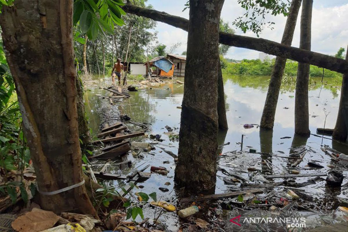 Ribuan hektare pohon  karet di Barito Utara terendam banjir