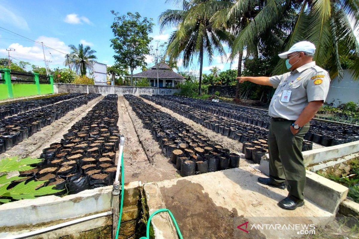 BPTP Kalteng siap bagikan tanaman hortikultura bagi 1.000 KK di Palangka Raya