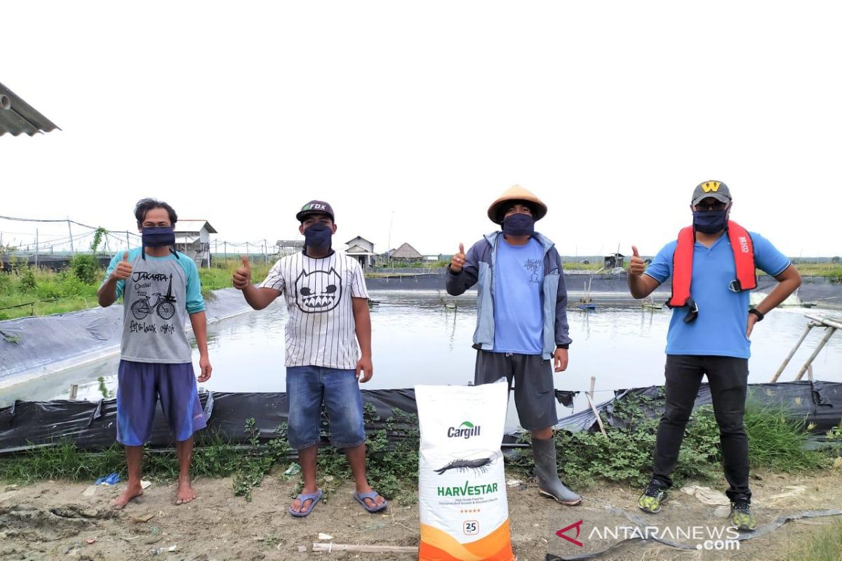 Cargill luncurkan pakan udang dukung budi daya jangka panjang