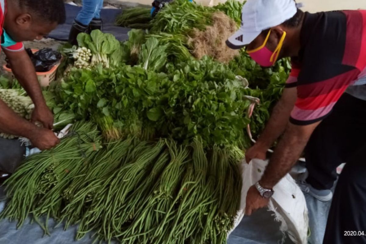 Dinas Tanaman Pangan Jayapura salurkan sayur ke warga yang dikarantina