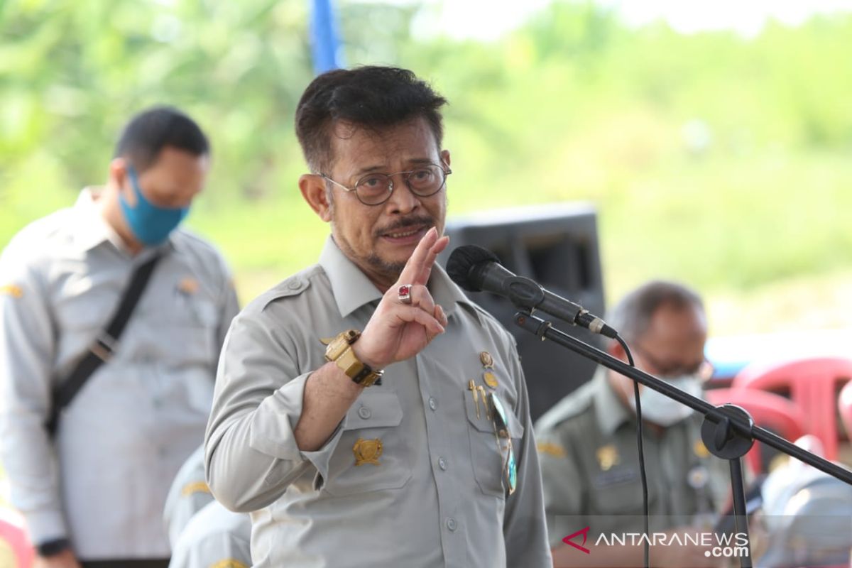 5,6 juta hektare sawah  siap ditanami, Menteri pertanian kebut  percepatan musim tanam kedua