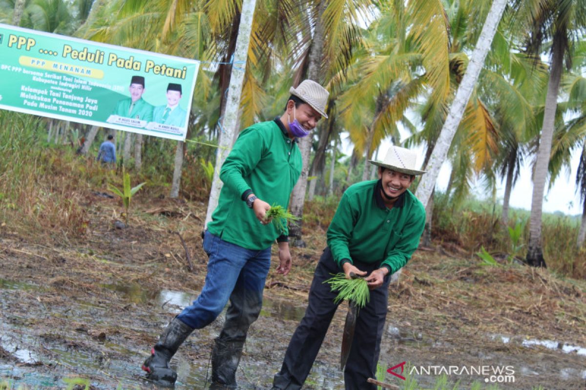 PPP dan STII Inhil dampingi Poktan Tanjung Jaya tanam padi